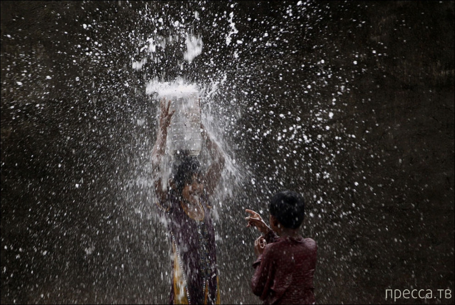 ��������� � ����� (23 ����)