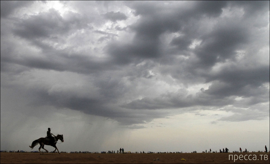 ��������� � ����� (23 ����)