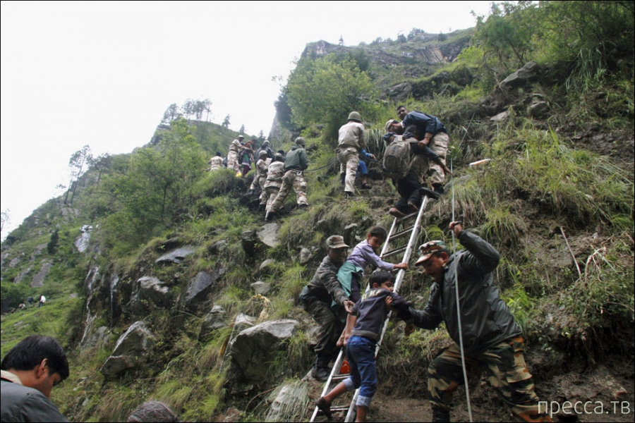 ��������� � ����� (23 ����)