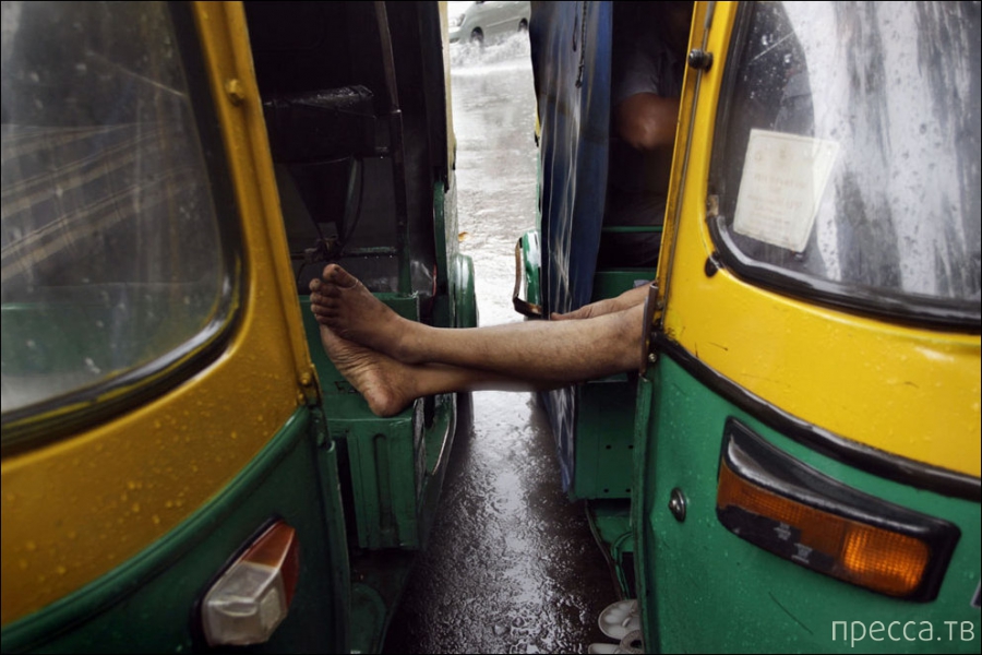 ��������� � ����� (23 ����)