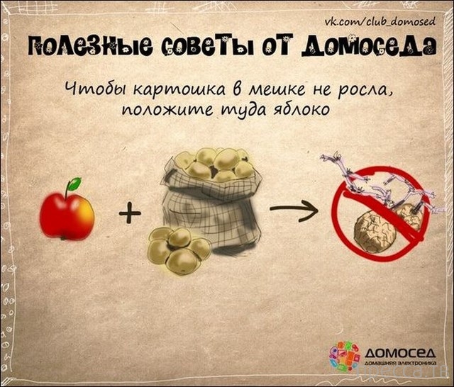 �������� ������ �� �������� (19 ����)