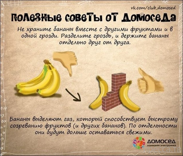 �������� ������ �� �������� (19 ����)