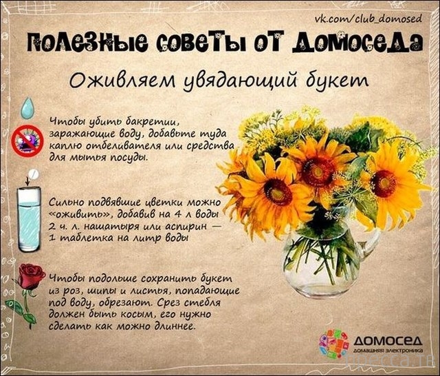 �������� ������ �� �������� (19 ����)