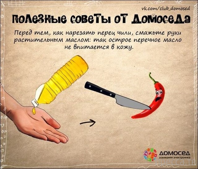 �������� ������ �� �������� (19 ����)