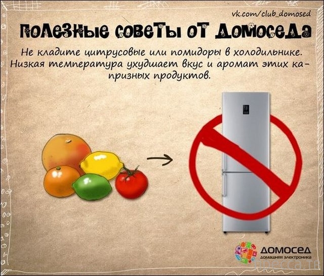 �������� ������ �� �������� (19 ����)