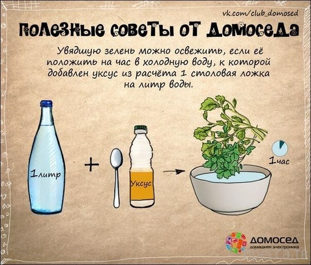 �������� ������ �� �������� (19 ����)