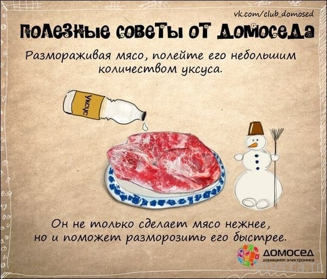 �������� ������ �� �������� (19 ����)