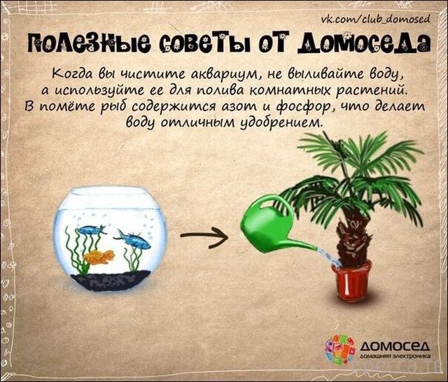 �������� ������ �� �������� (19 ����)