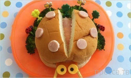 ��� ����. ������� ���� (10 ����)