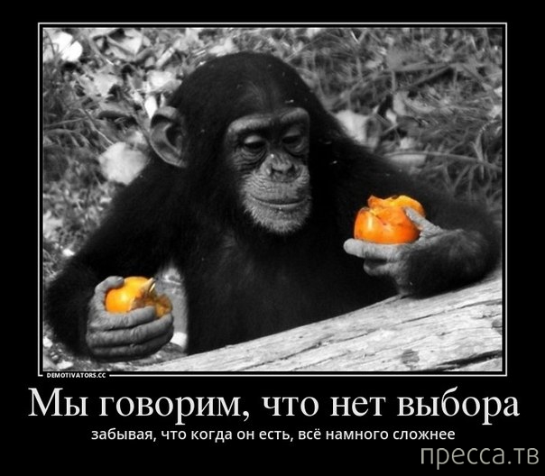 ���������� ������������ �� �������, ����� 2 (37 ����)