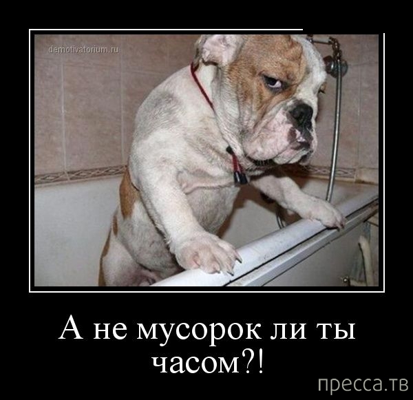 ���������� ������������ �� �������, ����� 2 (37 ����)