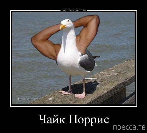 ���������� ������������ �� �������, ����� 2 (37 ����)