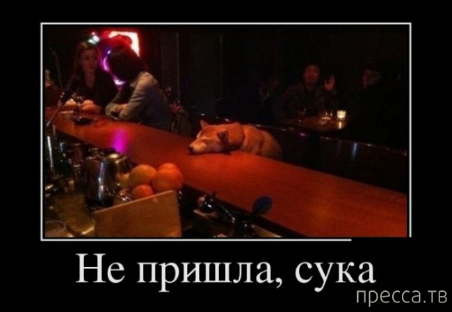 ���������� ������������ �� �������, ����� 2 (37 ����)