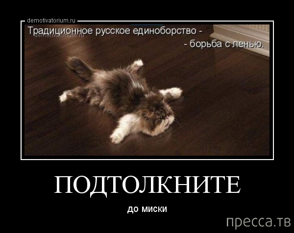 ���������� ������������ �� �������, ����� 2 (37 ����)