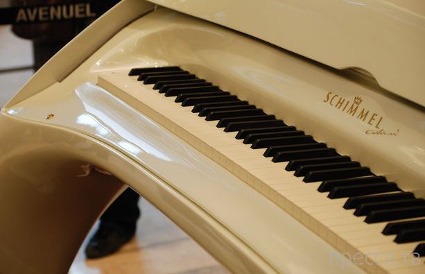   Schimmel Pegasus Grand Piano (10 )