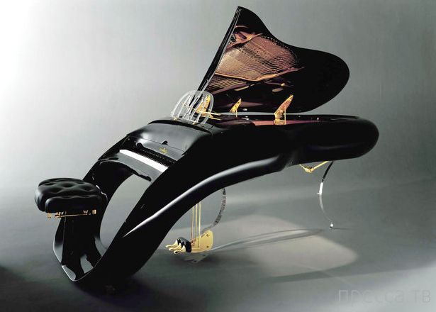   Schimmel Pegasus Grand Piano (10 )