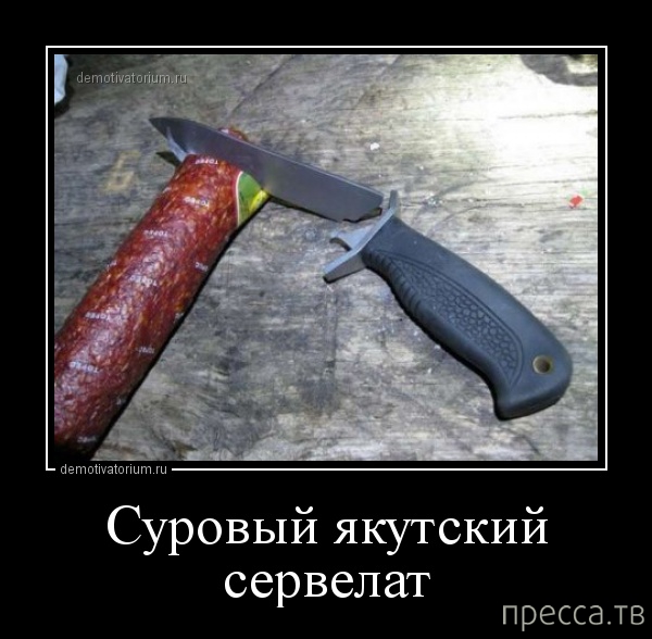 ���������� ������������ �� ������� (45 ����)