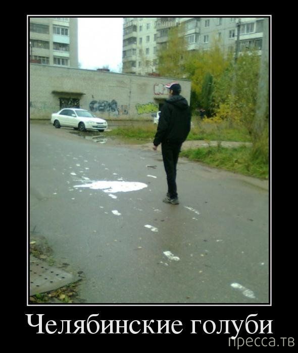 ���������� ������������ �� ������� (45 ����)