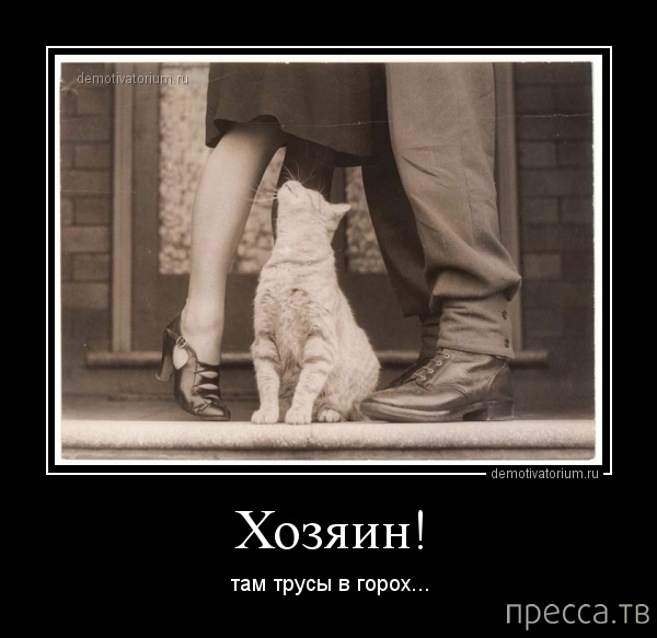 ���������� ������������ �� ������� (45 ����)