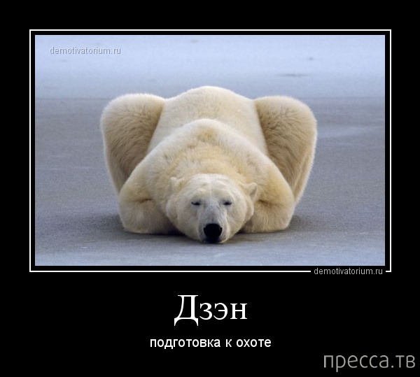 ���������� ������������ �� ������� (45 ����)