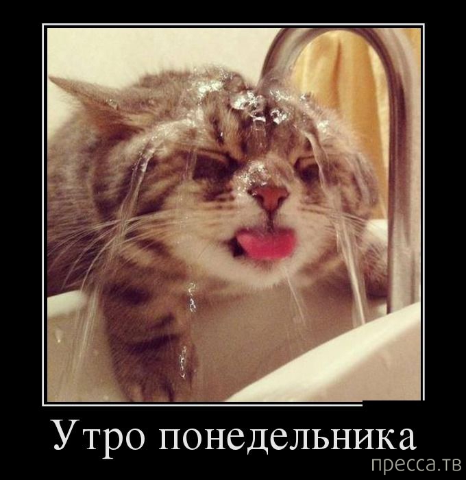 ���������� ������������ �� ������� (45 ����)