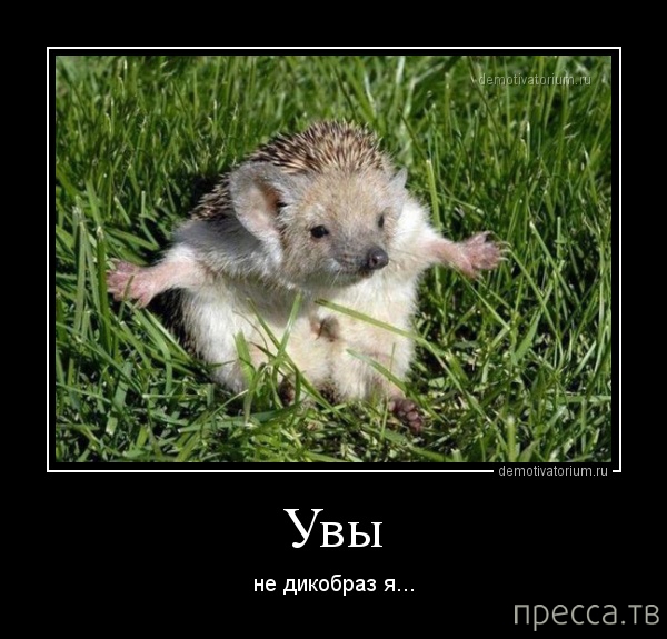 ���������� ������������ �� ������� (45 ����)