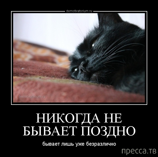 ���������� ������������ �� ������� (45 ����)