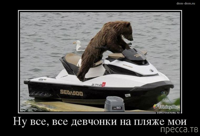 ���������� ������������ �� ������� (45 ����)