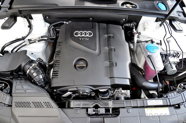     Audi 4 Allroad 2013 (22 )