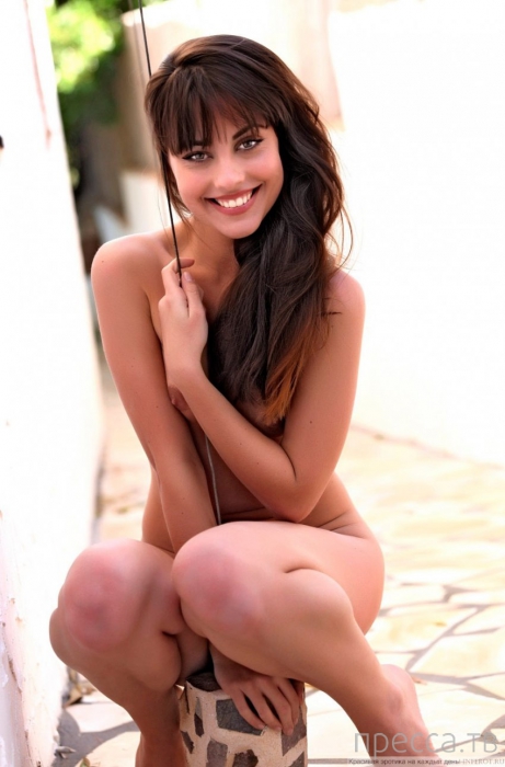 ������� ��� "�������", ����� 53 (15 ����)