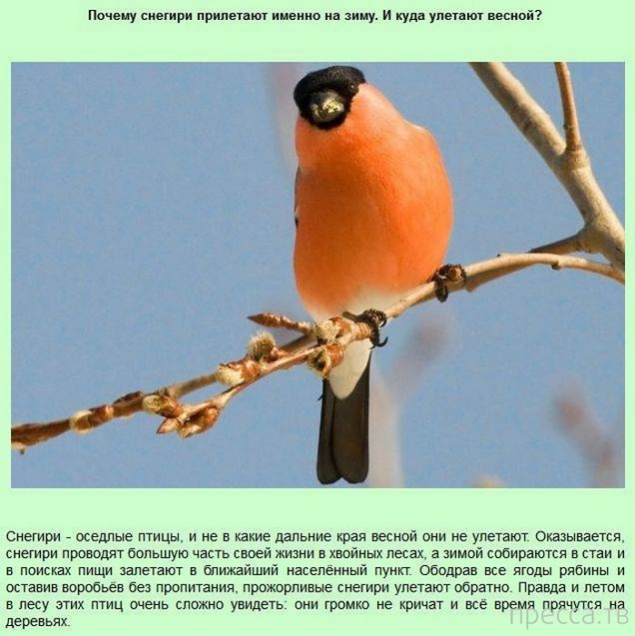 ���������� � �������������� ����� ��� ���� �� ����� (13 ����)