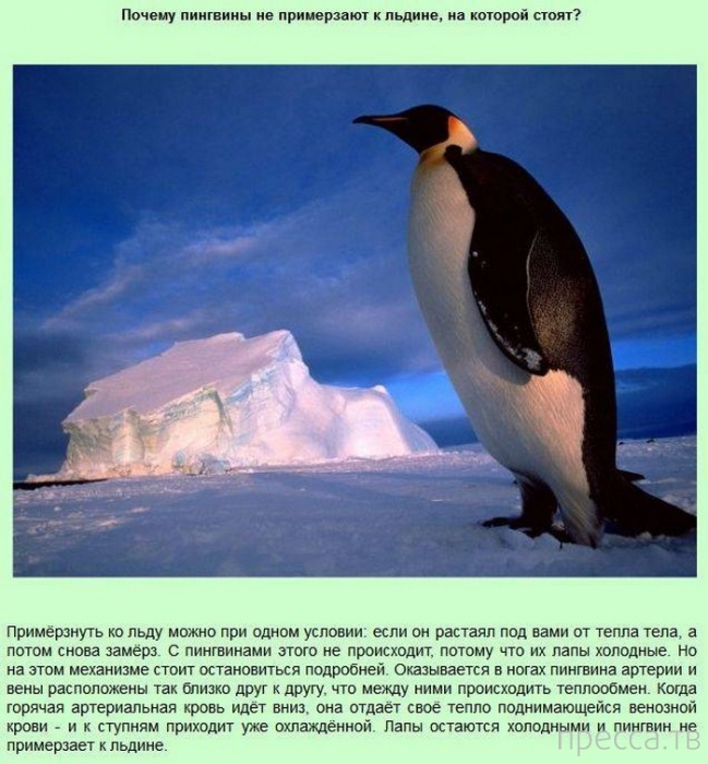 ���������� � �������������� ����� ��� ���� �� ����� (13 ����)