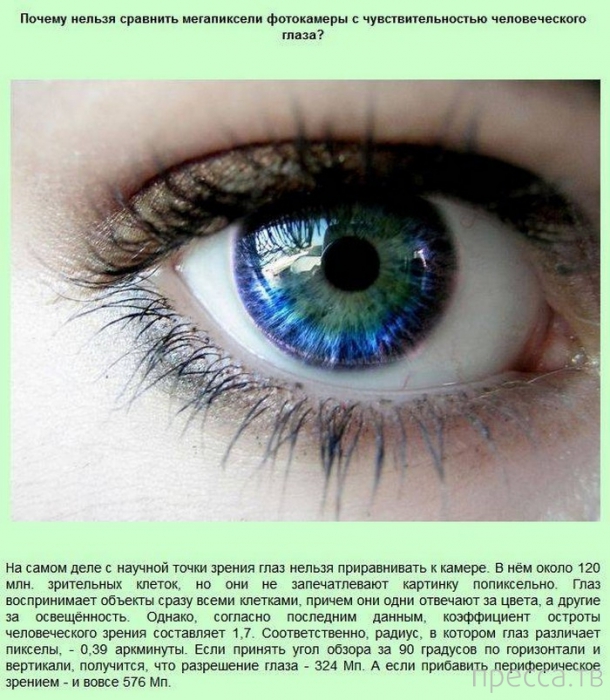 ���������� � �������������� ����� ��� ���� �� ����� (13 ����)