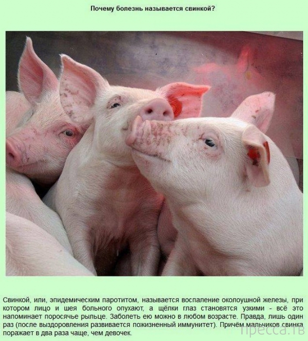 ���������� � �������������� ����� ��� ���� �� ����� (13 ����)