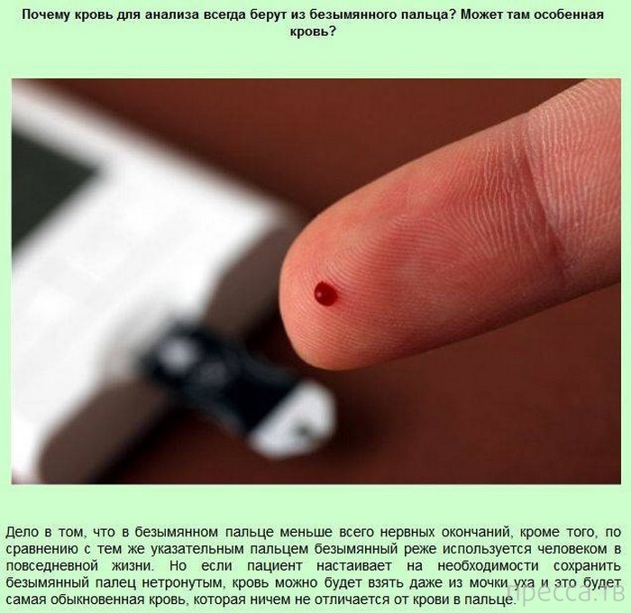 ���������� � �������������� ����� ��� ���� �� ����� (13 ����)