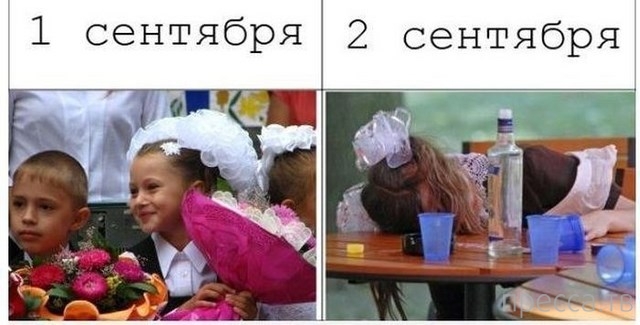 ����� � ���� ��� 1 ��������... (40 ����)