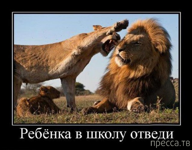 ����� � ���� ��� 1 ��������... (40 ����)