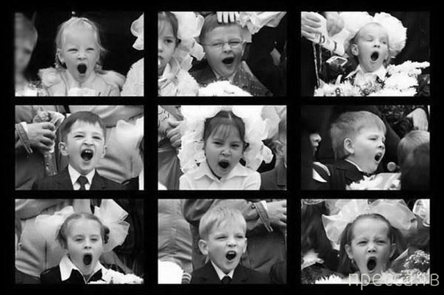 ����� � ���� ��� 1 ��������... (40 ����)