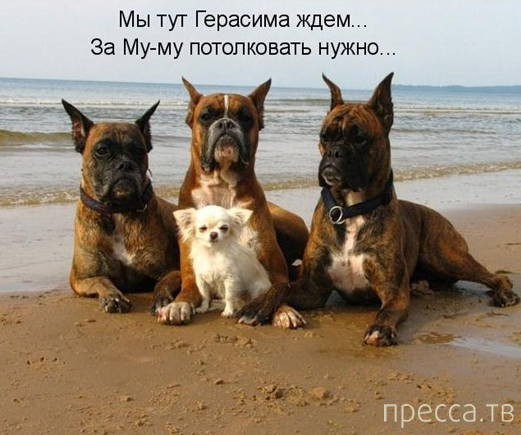 ���������� ������ �� �������� ��������� "...� ����" (6 ����)