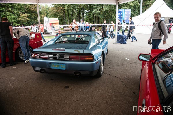 ���������� ��������� �������� - 2013 (15 ����)