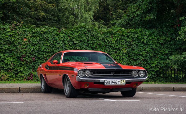 ���������� ��������� �������� - 2013 (15 ����)