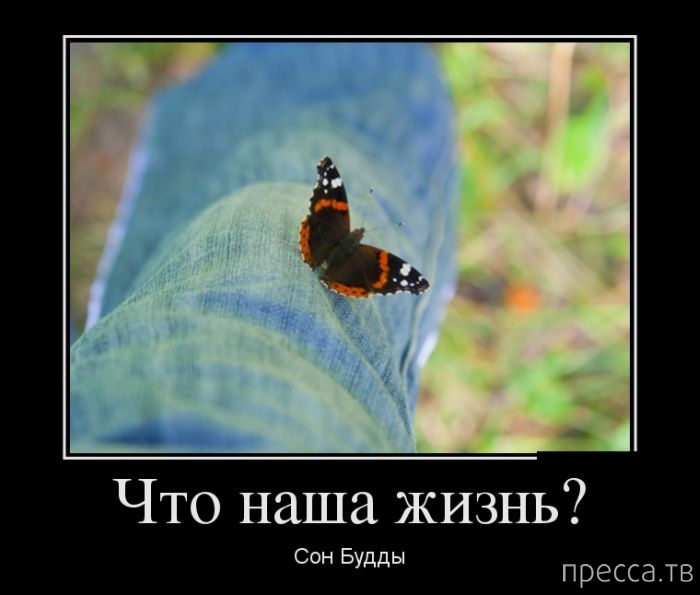 Жизнь с ну. Про сон. Жизнь с ну. Цитаты с юмором. Жизнь с ну.