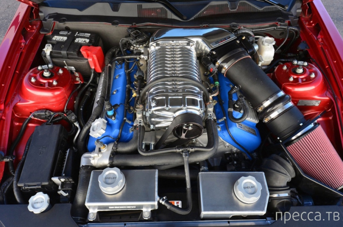 Ford Mustang Shelby GT500 2013 (19 ����)