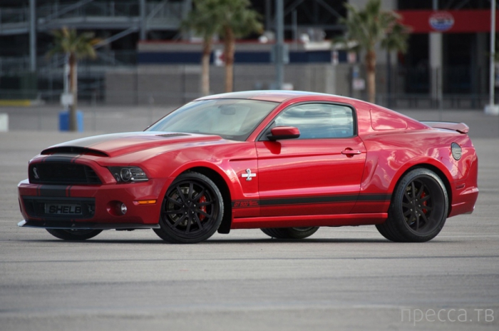 Ford Mustang Shelby GT500 2013 (19 ����)