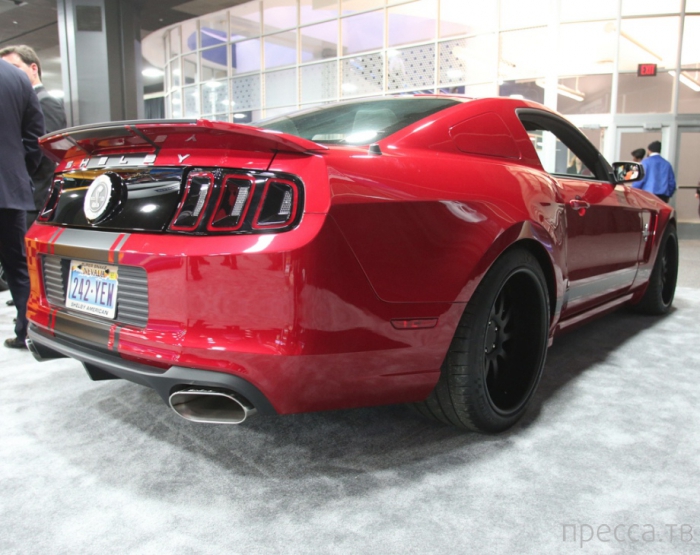 Ford Mustang Shelby GT500 2013 (19 ����)
