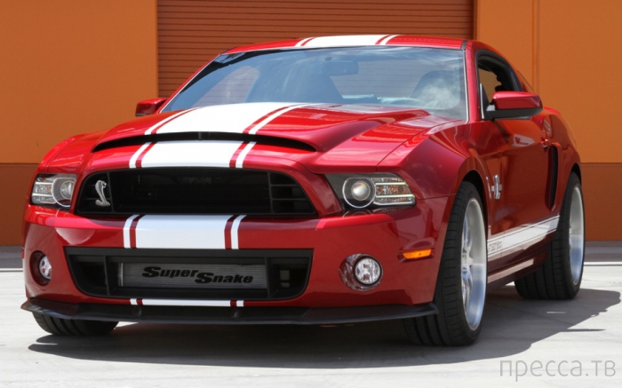 Ford Mustang Shelby GT500 2013 (19 ����)