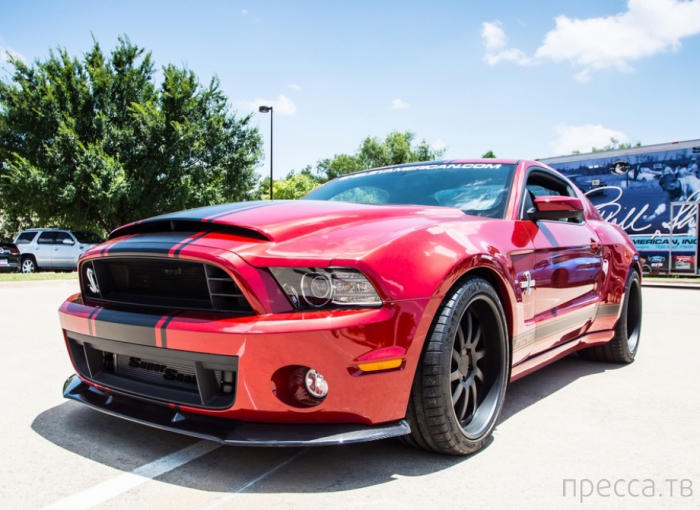 Ford Mustang Shelby GT500 2013 (19 ����)