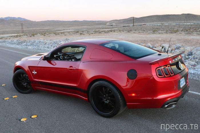 Ford Mustang Shelby GT500 2013 (19 ����)