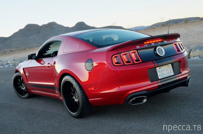 Ford Mustang Shelby GT500 2013 (19 ����)