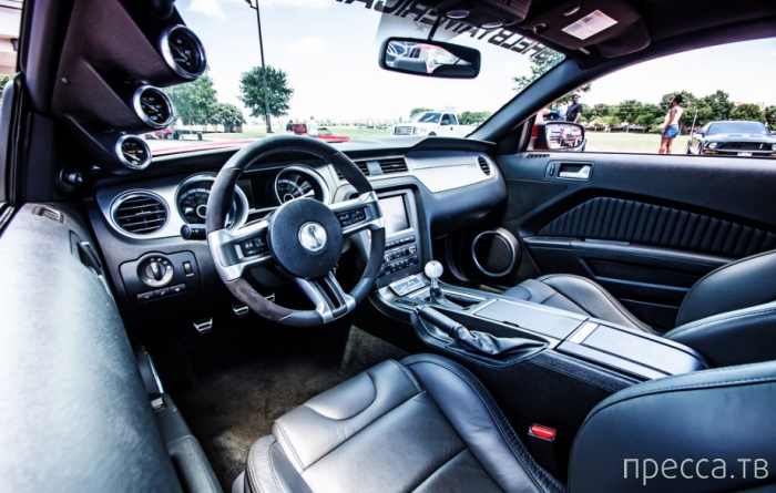 Ford Mustang Shelby GT500 2013 (19 ����)